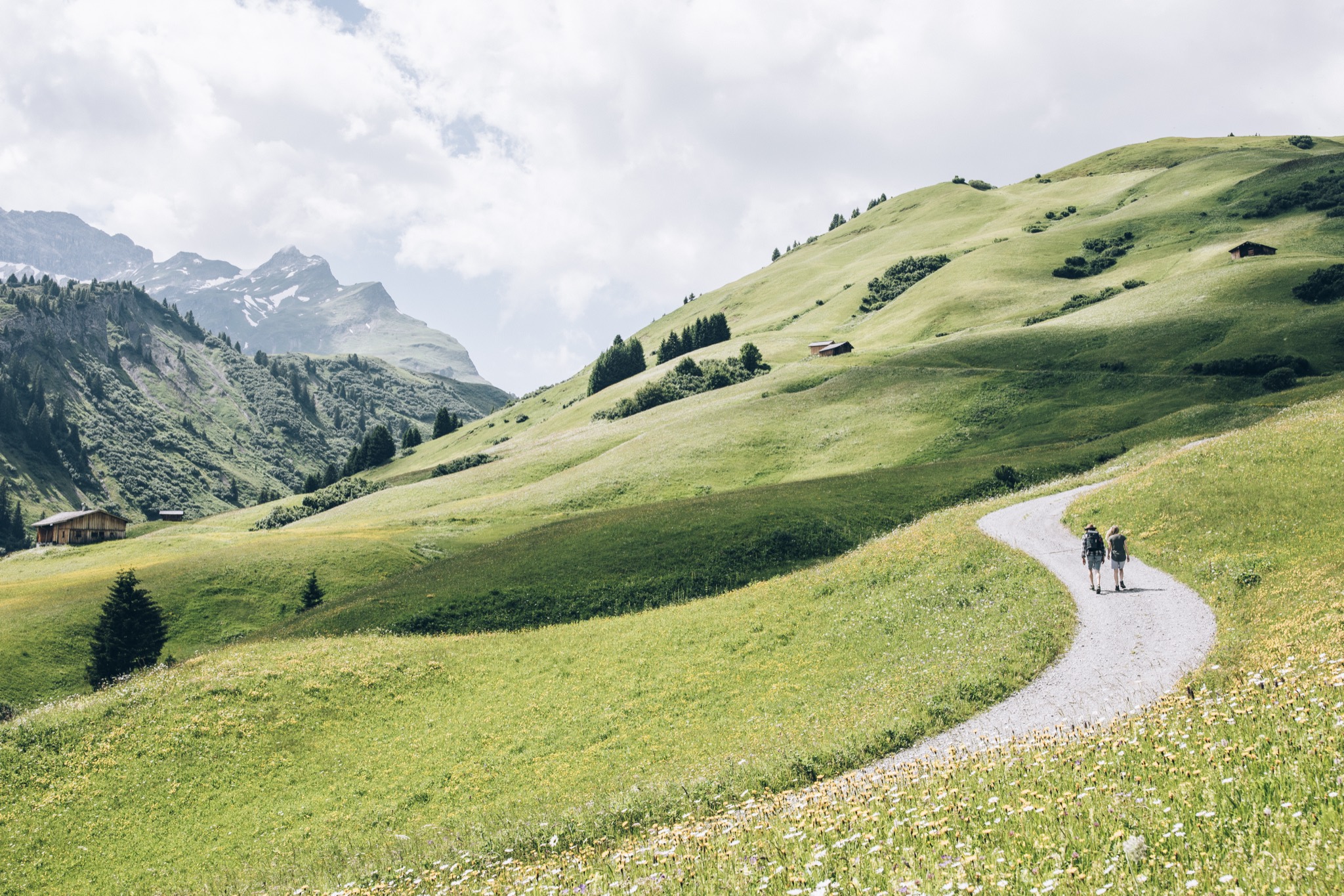 Lech Sommer